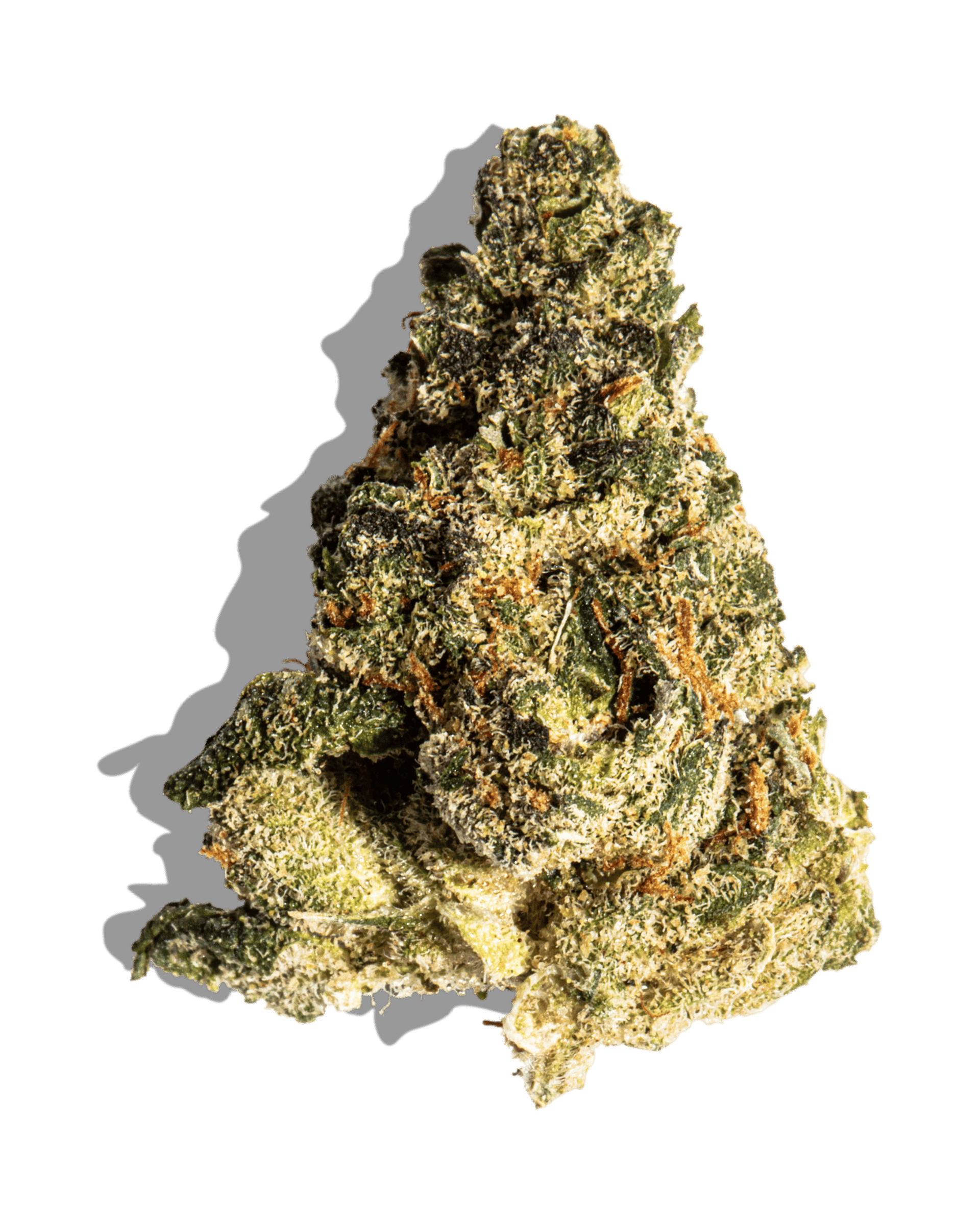 RED EYE CANNA REDEYE CANNABIS | ELECTRIC PB | BULK | INDICA / HYBRID — FLOWER