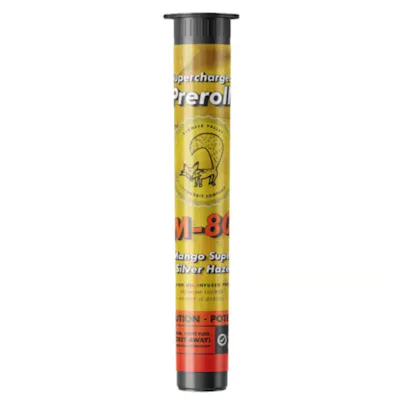 Cartridge THC-H-B - 1100mg Mango Kush 🥭 - Puffy