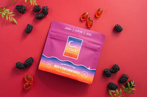 RECOVERY | Boysenberry Gummies | 5mg CBC: 20mg CBD :5mg THC 100mg-1