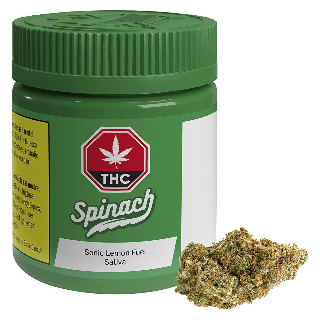 Spinach - sonic lemon fuel