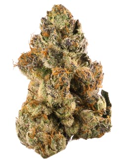 Product: Gratiot Gold by Pine Park | Doghouse Supreme Cannabis