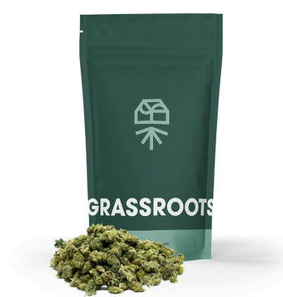 Zesty Garlic Cookies