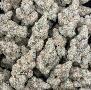 Alien Mintz | Narvona