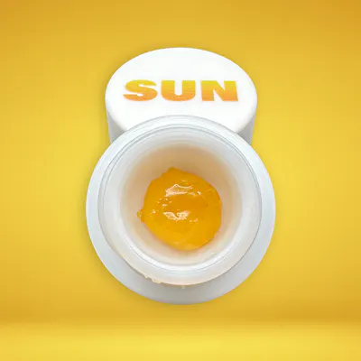 Shop Sun Products in New Jersey | HASHERY Shop Sun Products in New Jersey | HASHERY