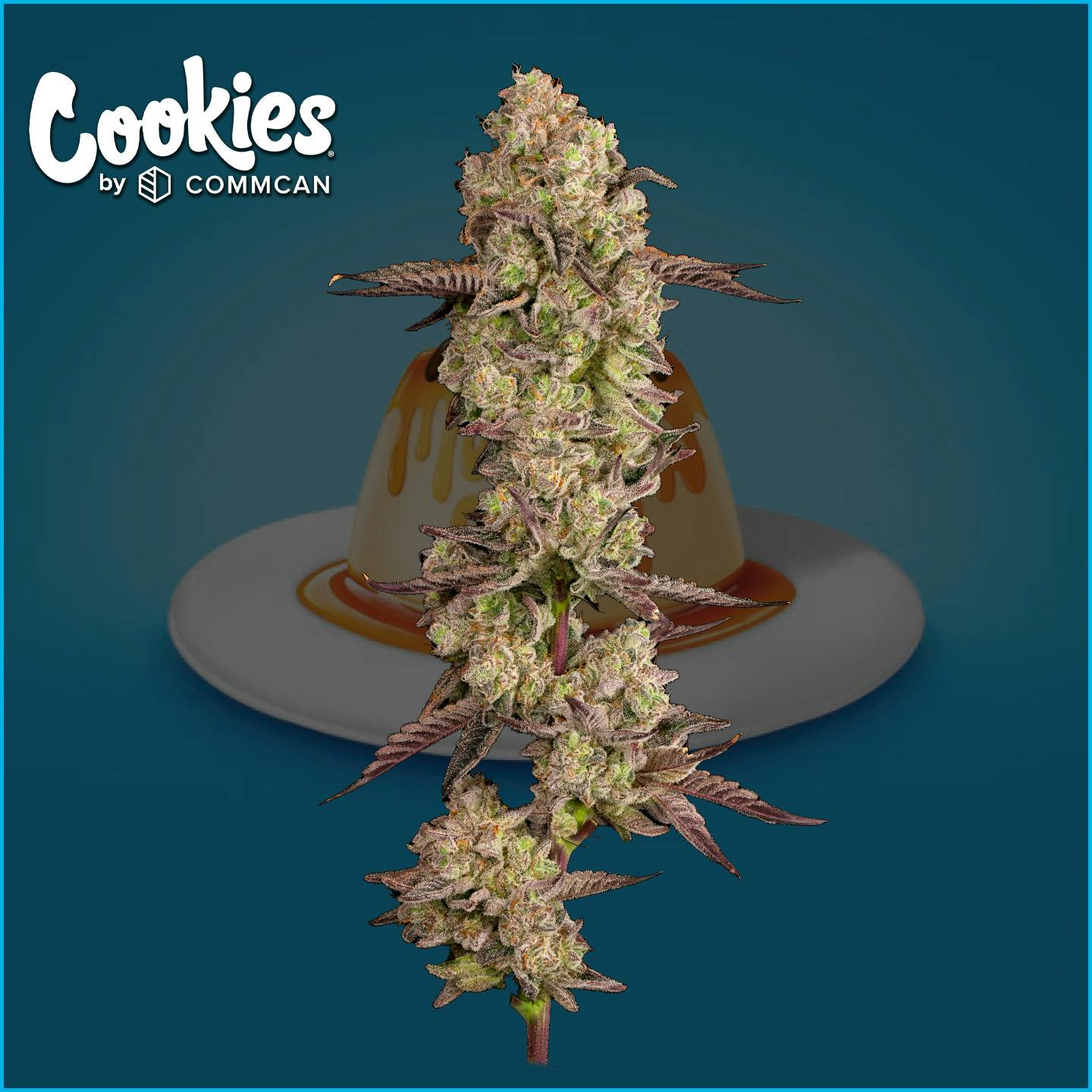 Photo of Cookies Mexican Flan 3.5g