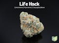 Farkas Farms: Life Hack - 14.15g