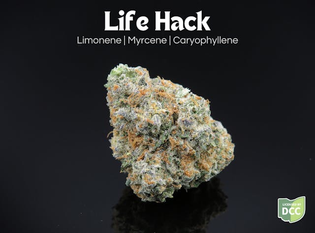 Dried cannabis flower is primarily ingested via inhalation. Activation time is roughly about 5 minutes and can last up to a few hours.