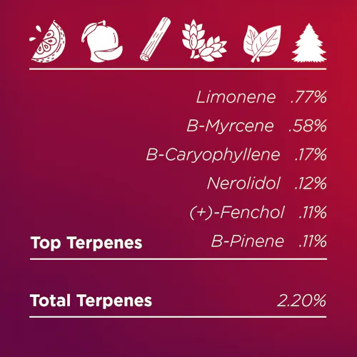 Deli Style | Mad Honey – Sativa – Hybrid-2