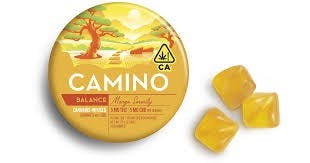 Camino - 200MG - Mango Balance