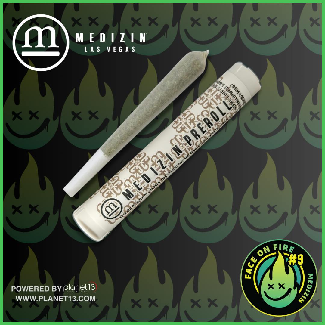 elfbar elfa master akku Det här krävs för att få resa med vapen