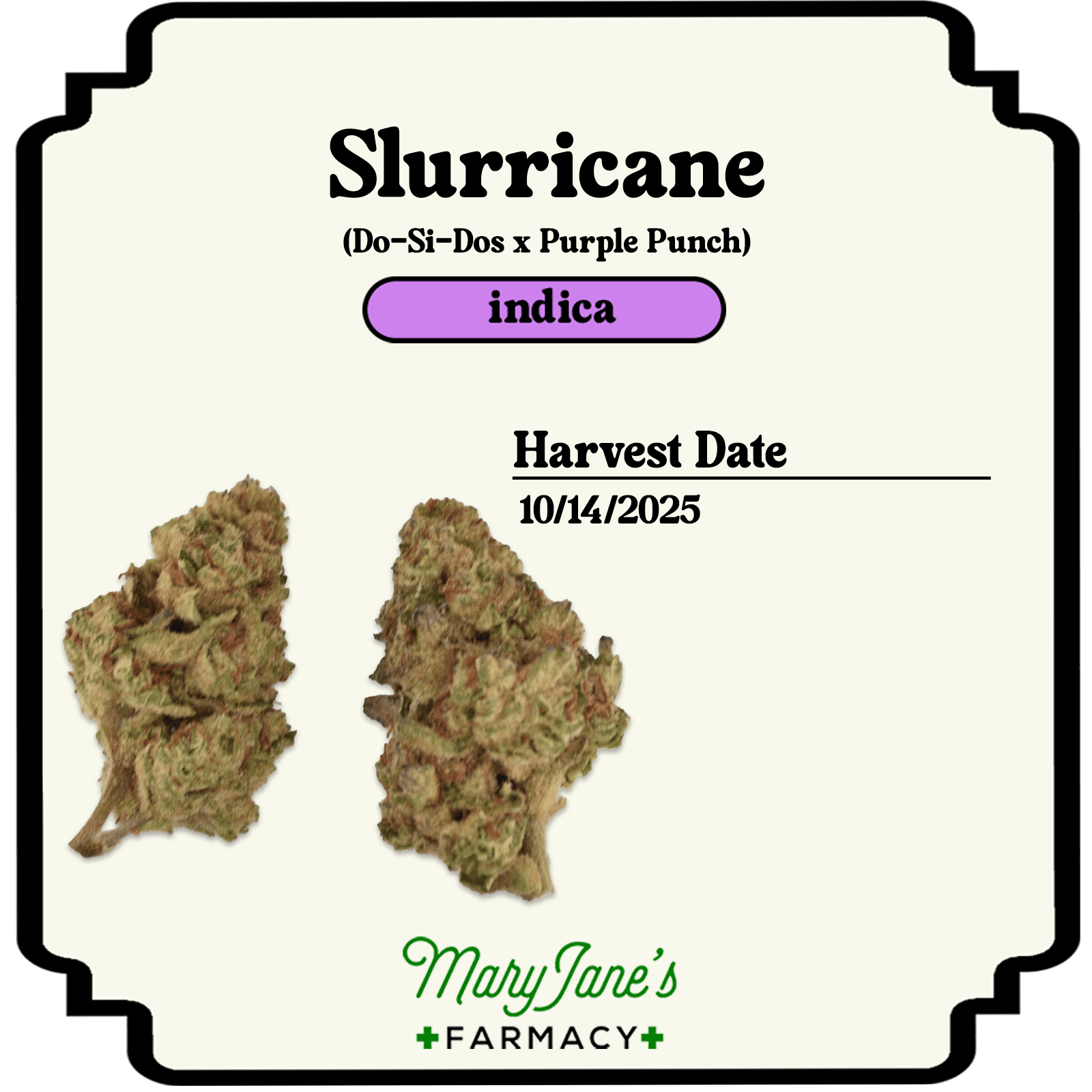 Image of Slurricane
