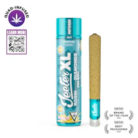 Tropicali Jeeter XL Infused Pre-Roll | 2g - product image at King of Budz
