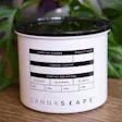 Classic Matte White Stash Jar