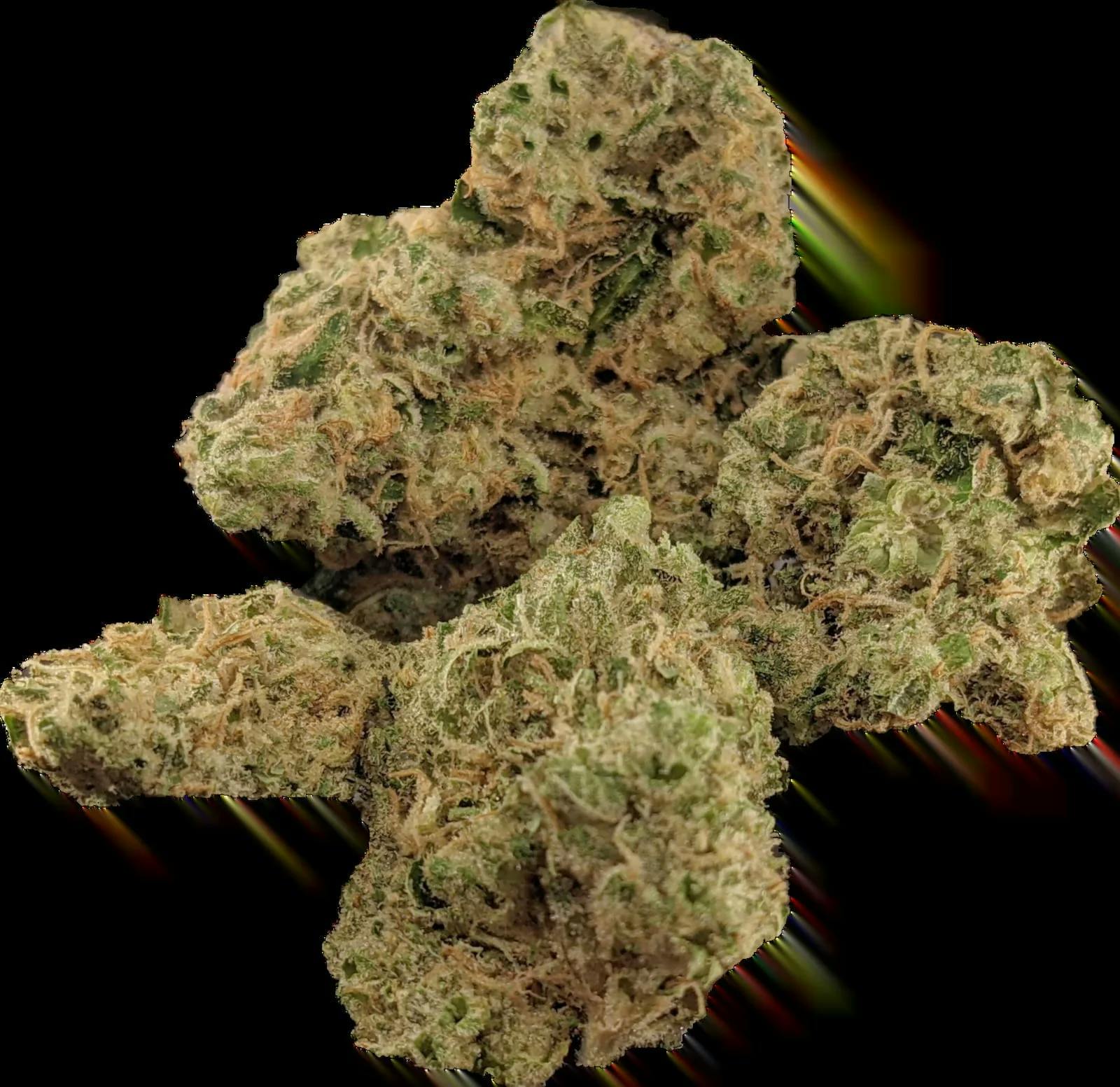 Product Buckner Buds