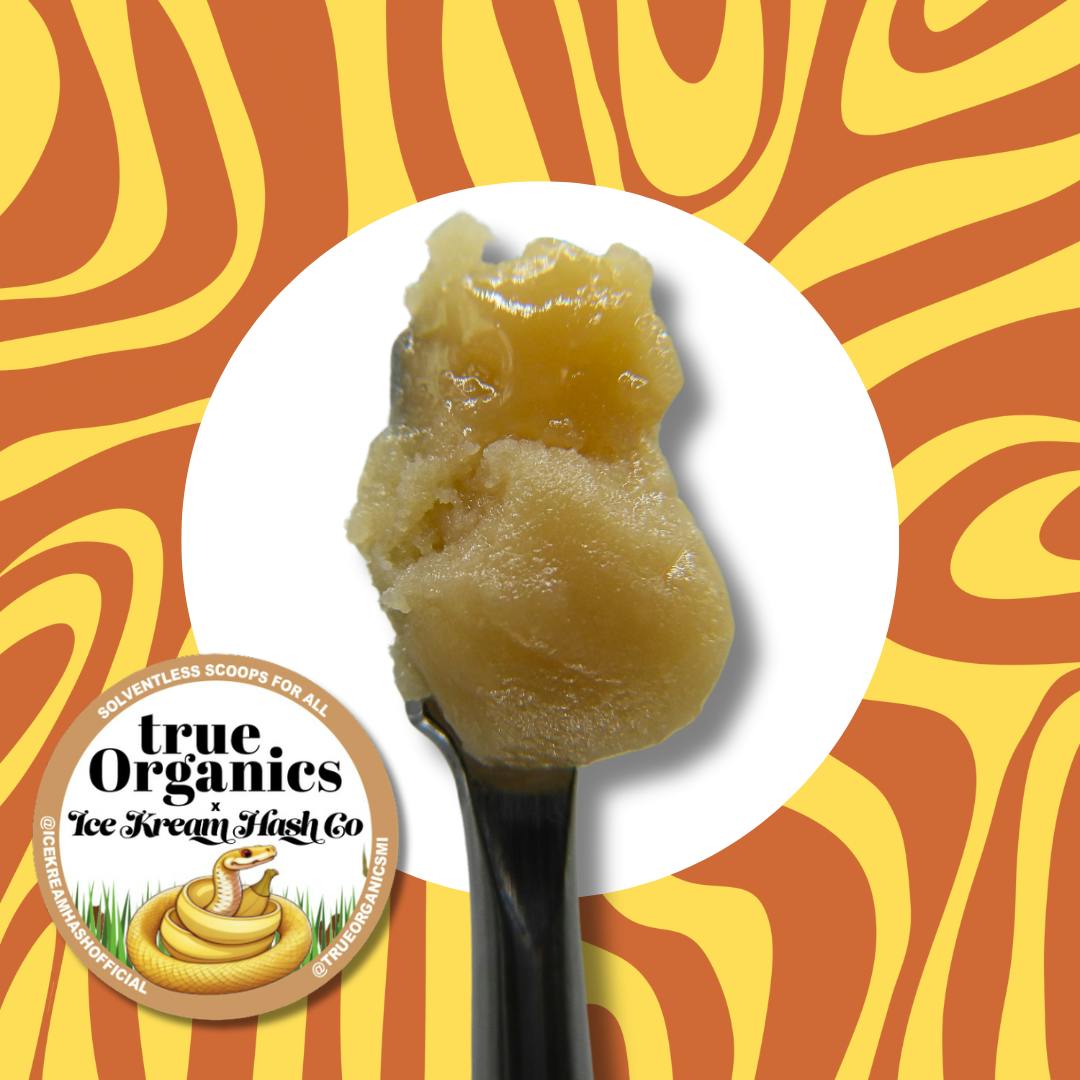 Ice Kream Hash Co. | Bananaconda Live Rosin | 1g