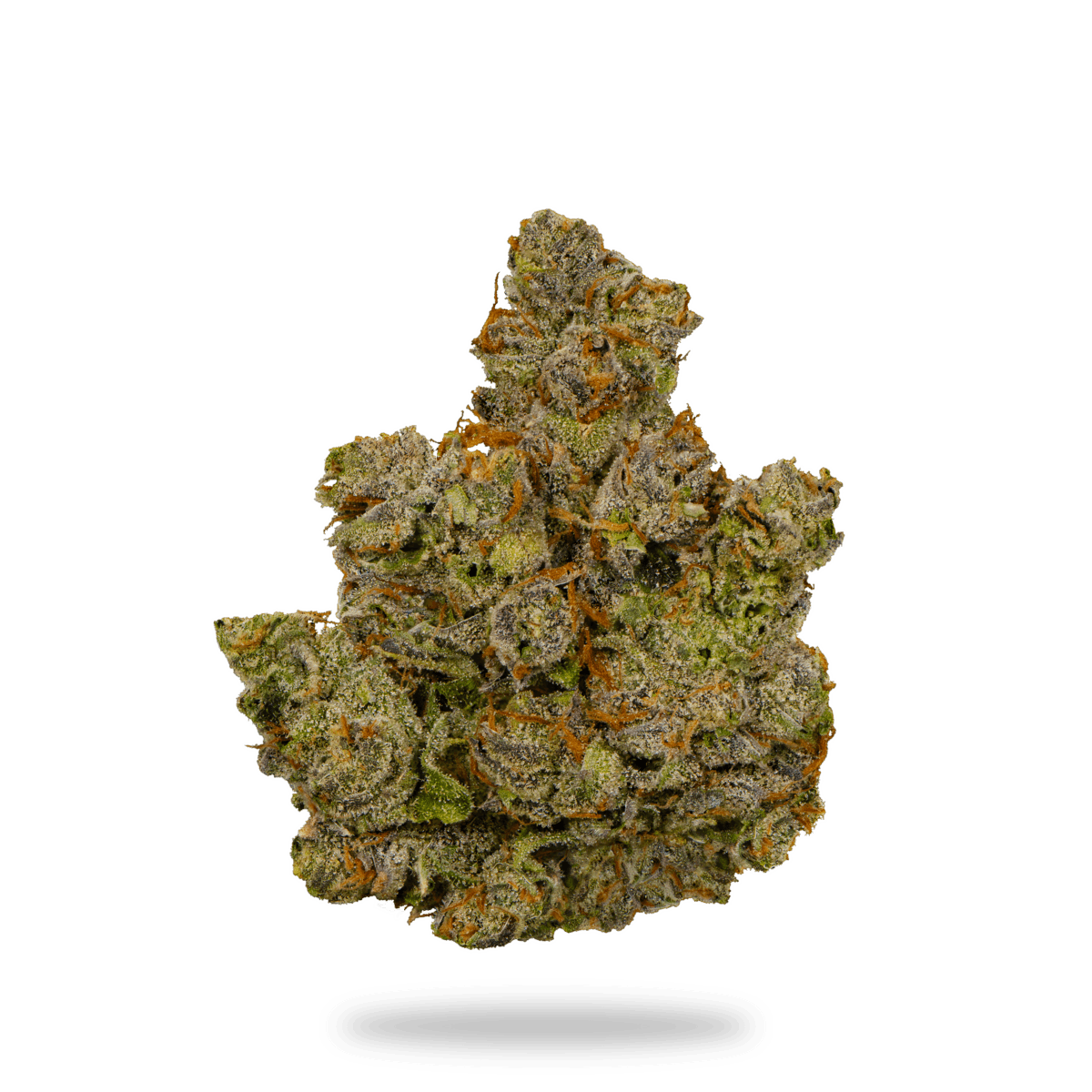 Uplyfted Cannabis Co. UPLYFTED | CANAL ST. RUNTZ | BULK | INDICA — FLOWER