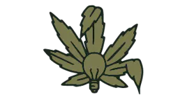 Flower category image