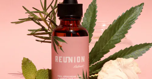 Reunion | Reboot: CBD + Lions Mane adaptogenic tincture | 15 ml-active