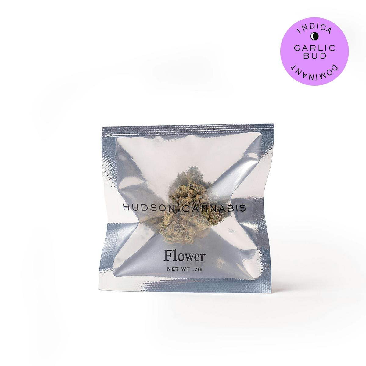 Photo of Garlic Bud | Flower | Dimes