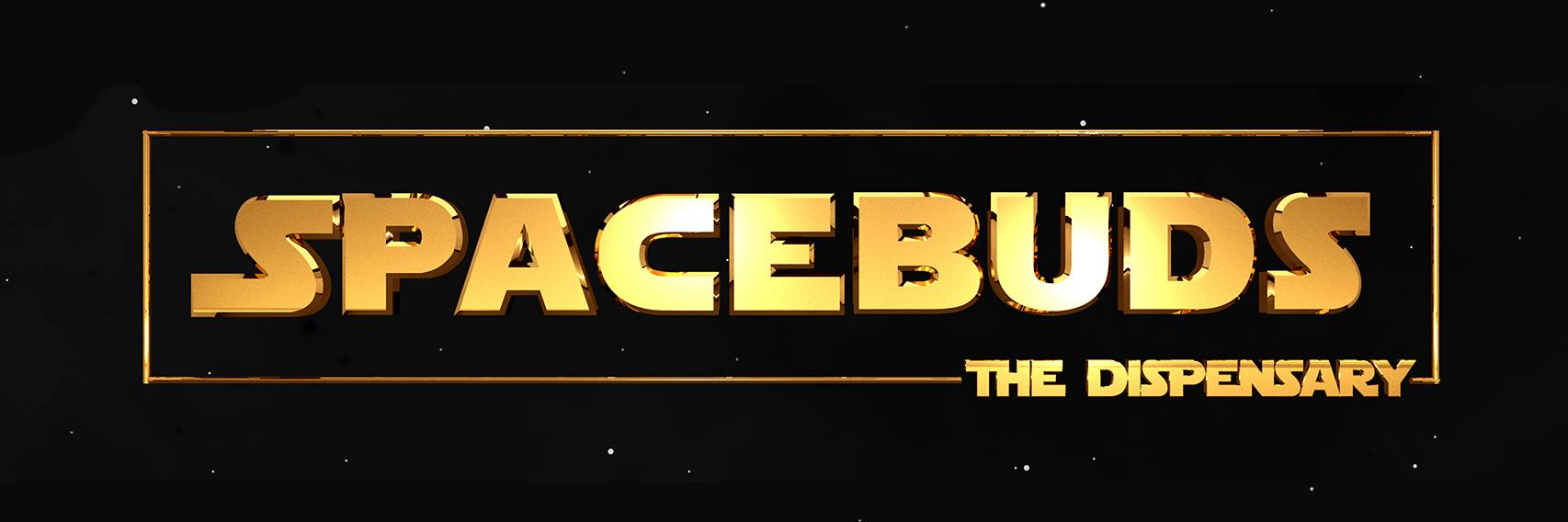 SpaceBuds The Logo