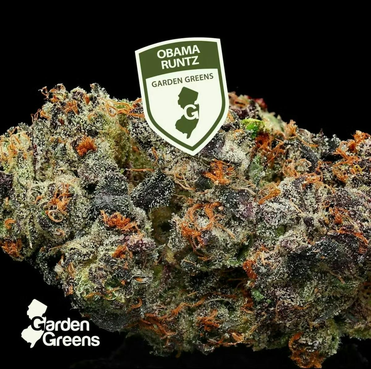 Photo of Obama Runtz 3.5g