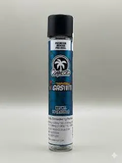 CONNECTED | GASCOTTI | 1 GRAM PRE-ROLL