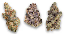 Flower category image