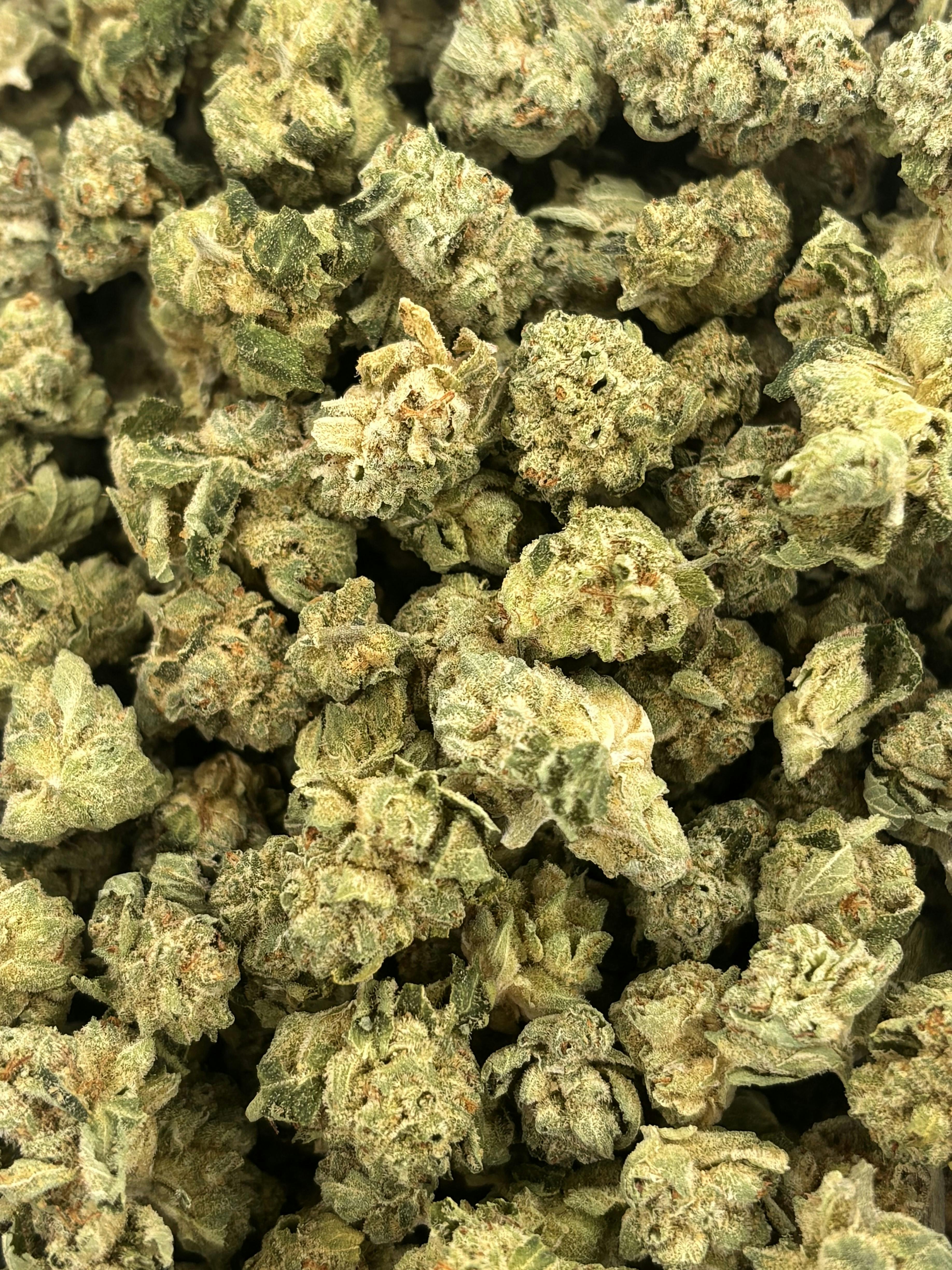 Double Rainbow | Deli Flower (Bronze)