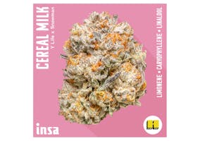 Super Lemon Haze 2 - INSA MA Dispensary Super Lemon Haze 2 - INSA MA Dispensary