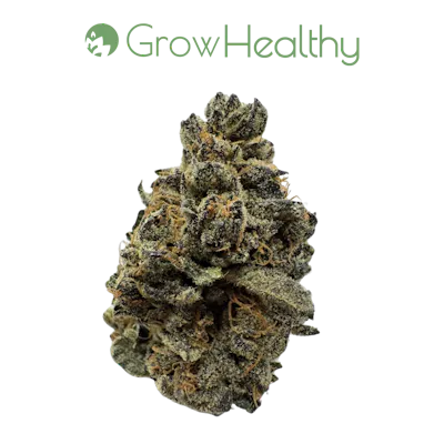 Black Label ZKZ Cartridge | GrowHealthy