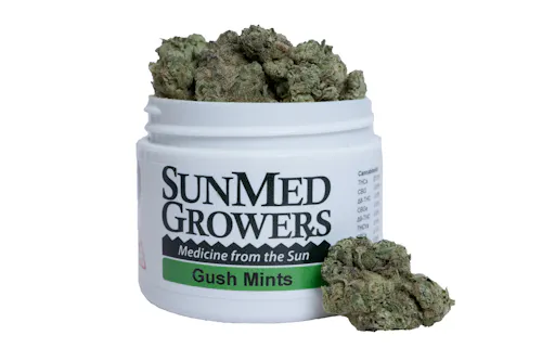 Gush Mints-active