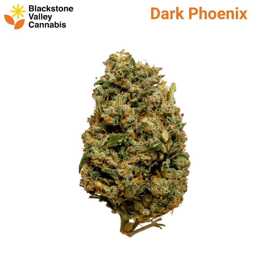 Product Dark Phoenix - Flower