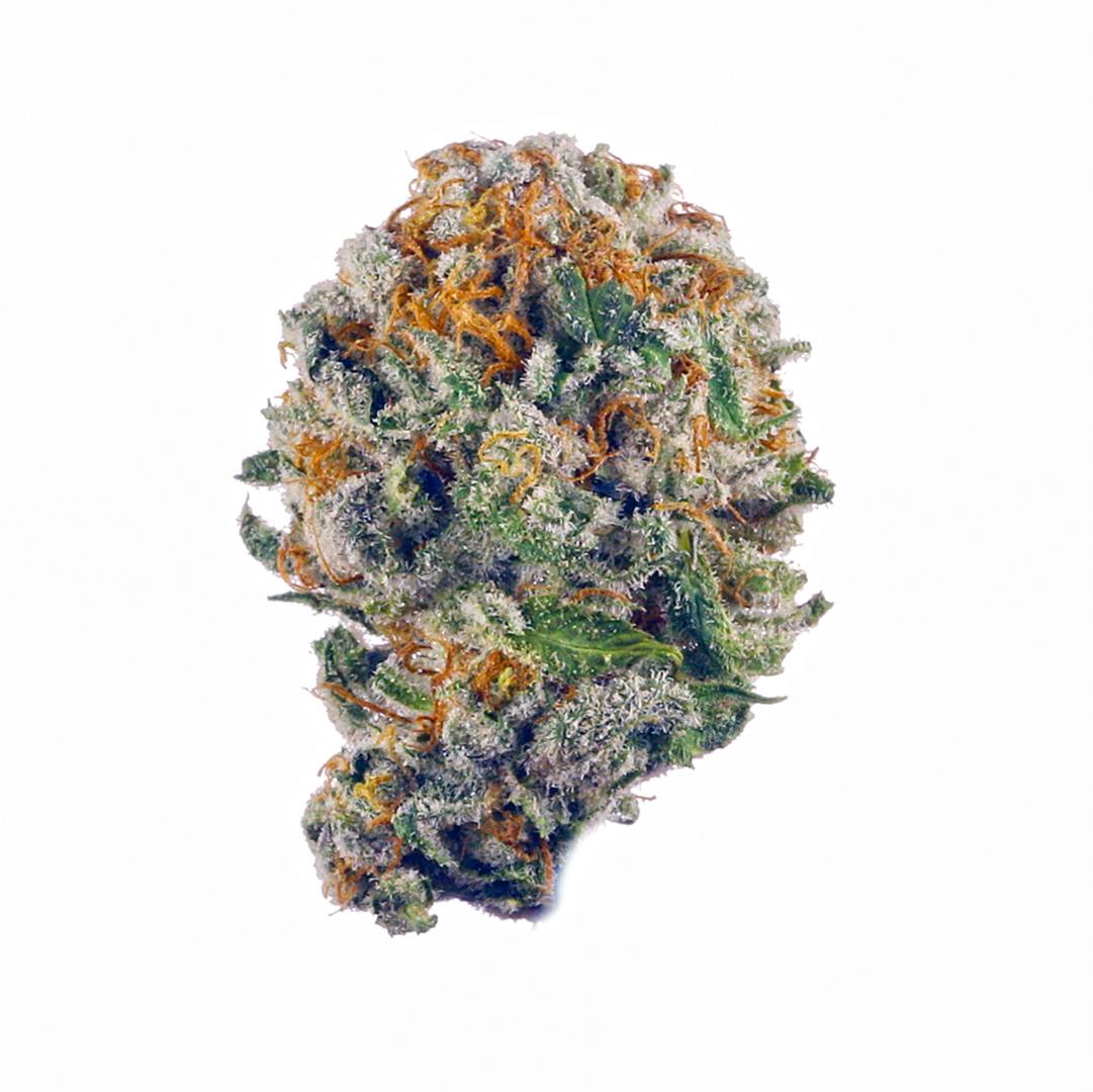 Product: GREEN ZONE | TEQUILA SUNRISE | BULK | HYBRID