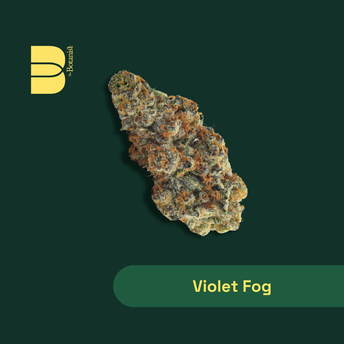 Image of Violet Fog | 7g Flower