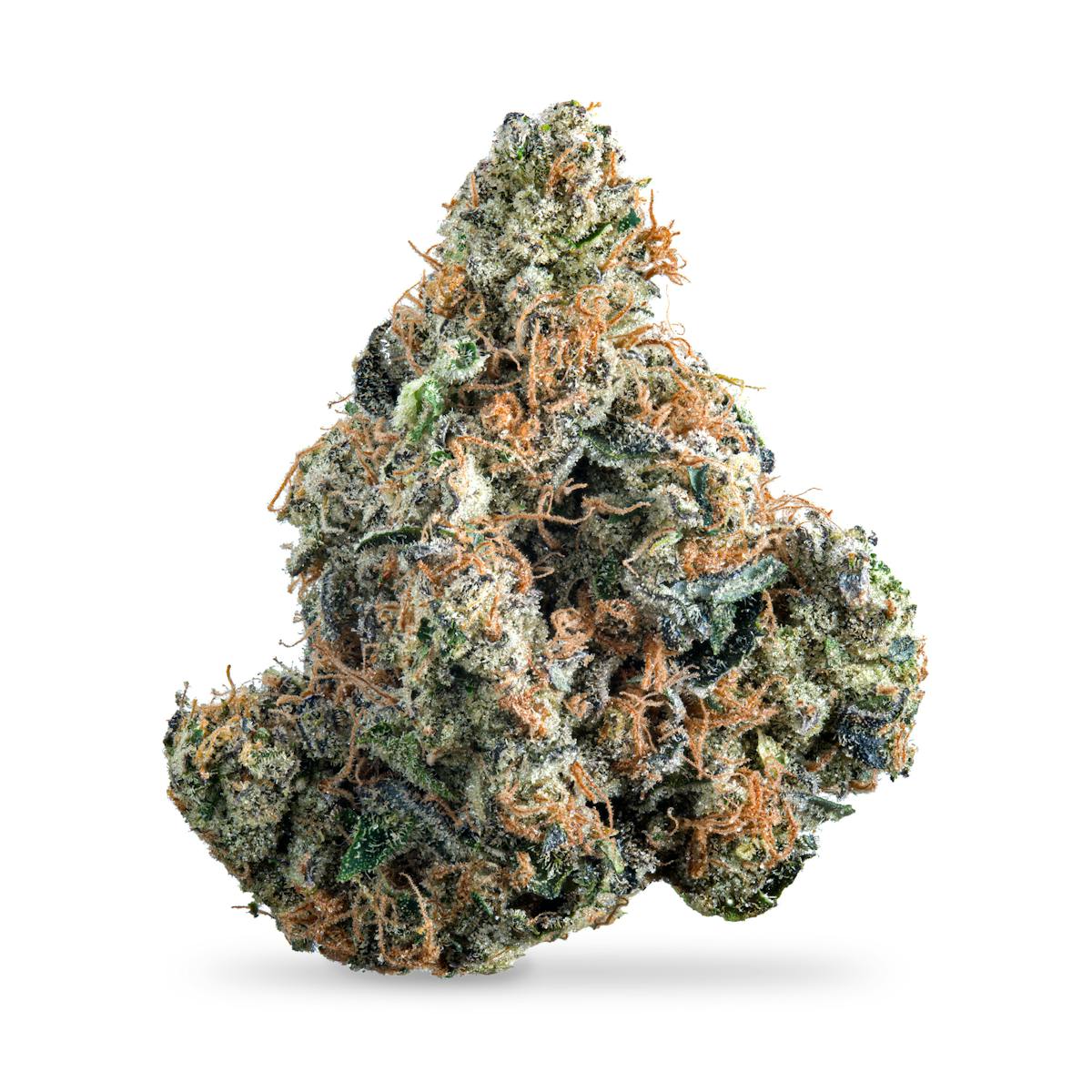 Photo of GMO x Lemon