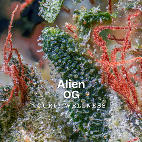 Curio Flower | Alien OG Pre-Roll 2pk-1