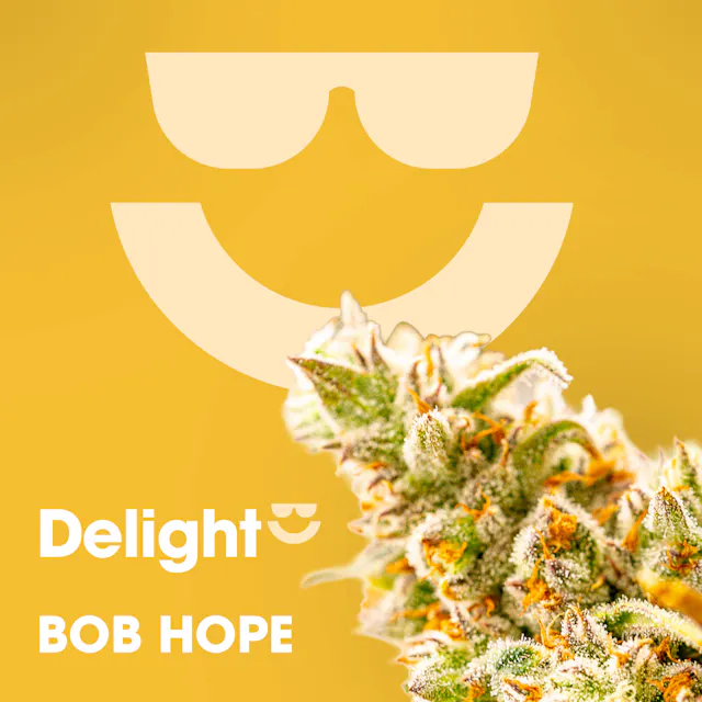 Delight Flower Bob Hope 3.5g (sativa, whole flower)
