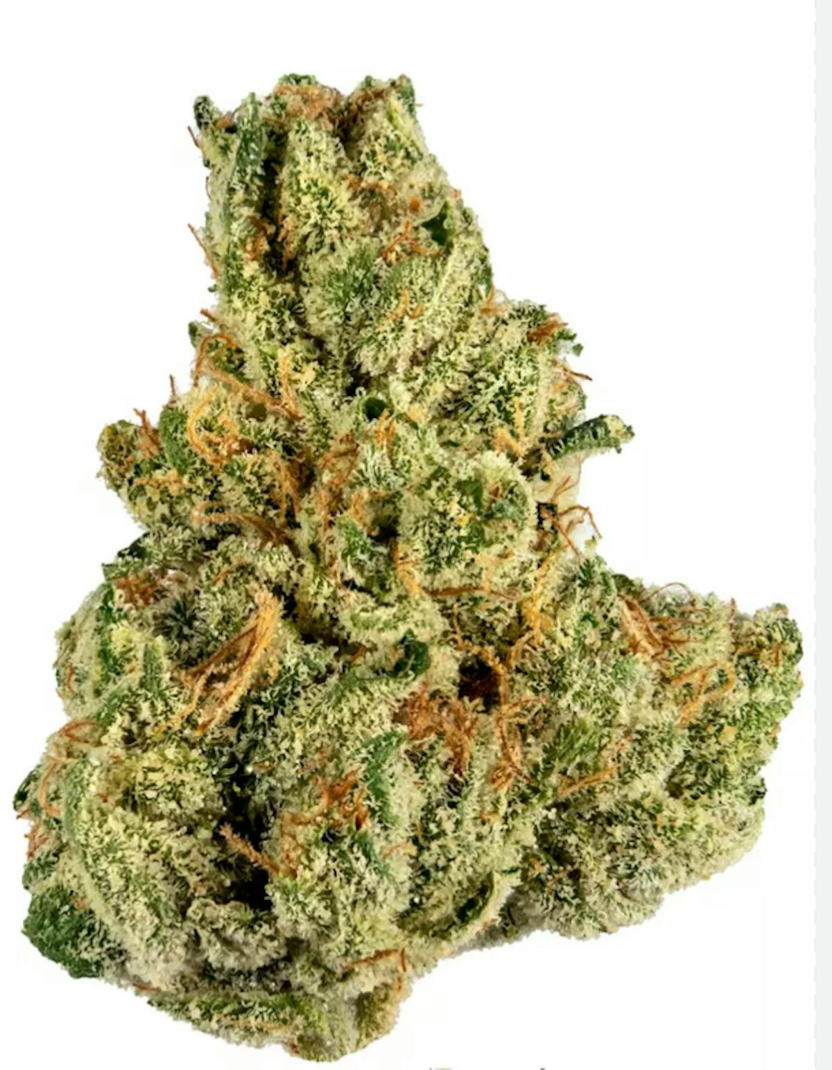 Photo of Platinum Shelf – Tropical Haze (S)