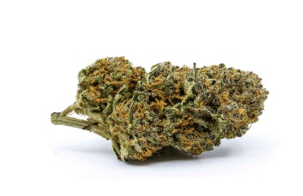 Growers Retail (Pape Village)