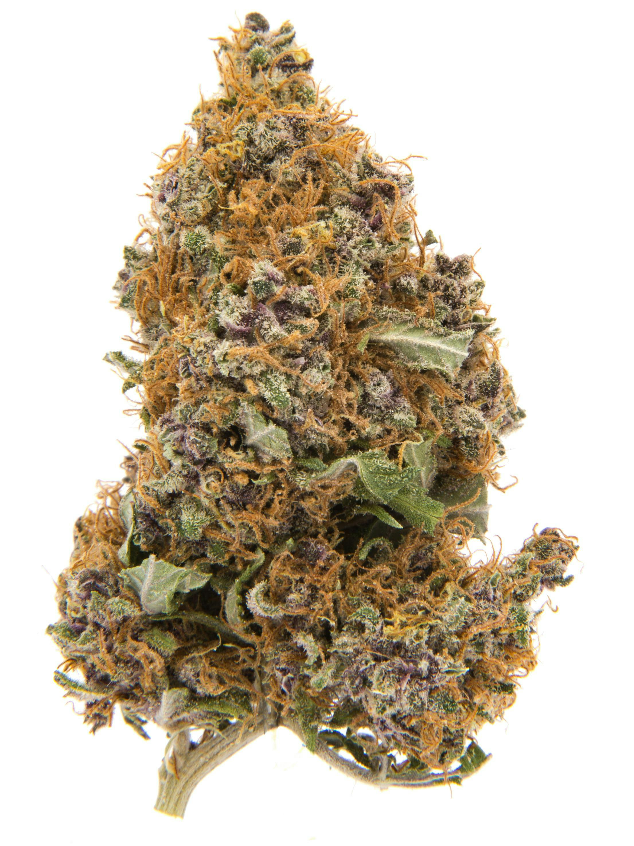 WEED SNOBS | PURPLE HAZE | BULK | SATIVA/HYBRID