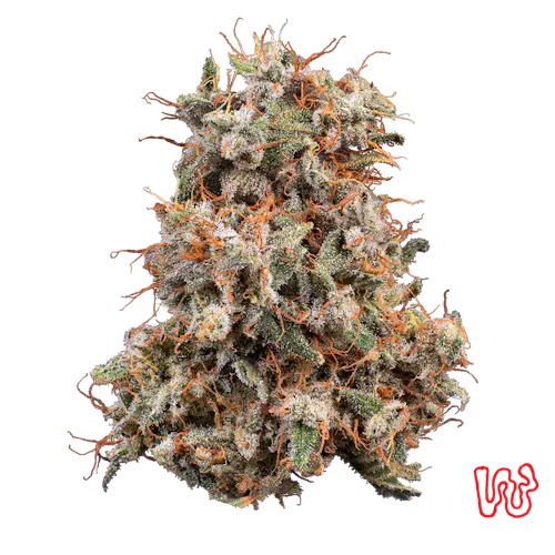 Woodward | Permanent G (Buds) 5.66g | Indica-2