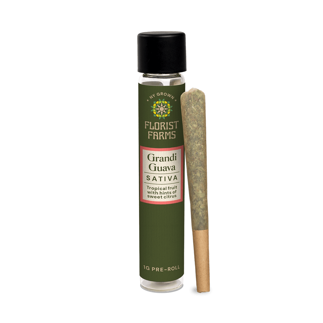 Grandi Guava | 1 Gram Pre-Roll | Single at Silk Road NYC, Jamaica Queens