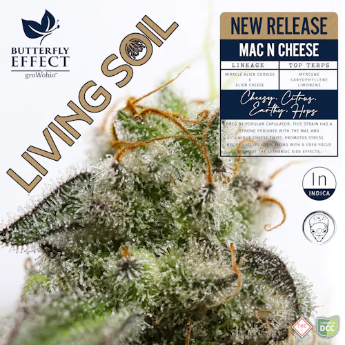 Grow Ohio | Mac N Cheese ‘Living Soil’ (Buds) | 2.83g | Indica-active