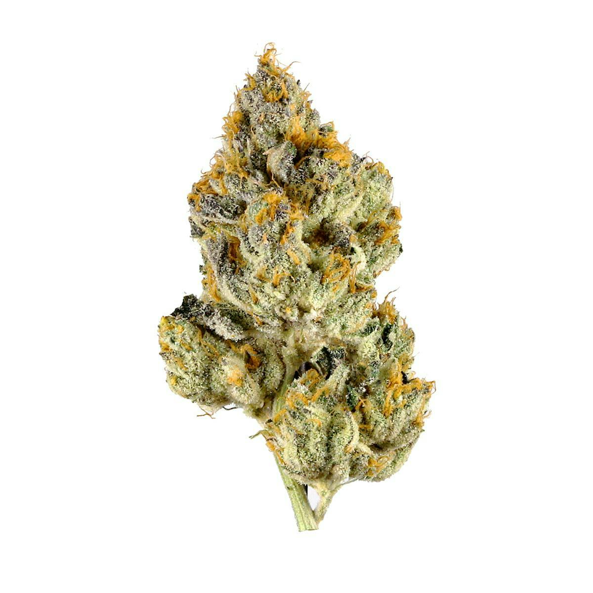 Herb - Jet Fuel OG at Silk Road NYC, Jamaica Queens