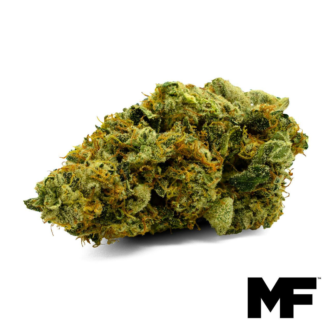 White Sherbo Flower