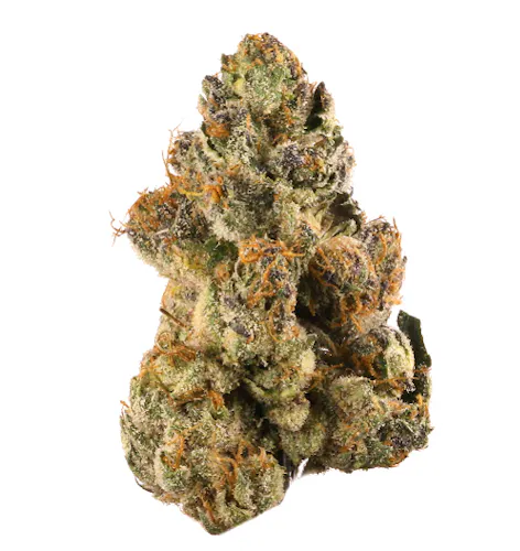 Bud Bar | Tortola Gelato-active