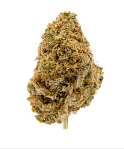 Purple Punch 7g – SunMed (House-Packed)-active