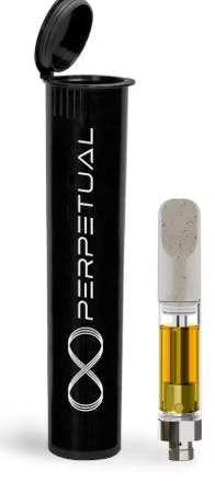 perpetual disposable vape review Shop Perpetual Products in Plymouth County main image 0