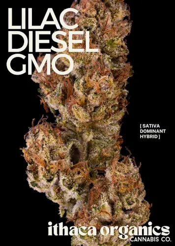 Ithaca Organics Lilac Diesel GMO Flower 3.5g-1