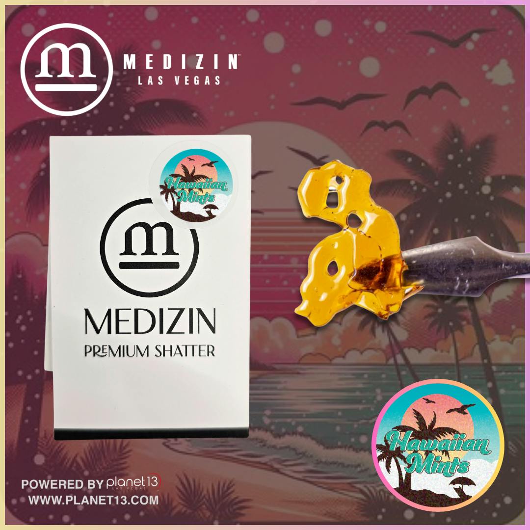 Dr. スランプ 50周年記念カード #3 Gem Mint 10 Dr. スランプ 50周年記念カード #3 Gem Mint 10 Dr. スランプ 50周年